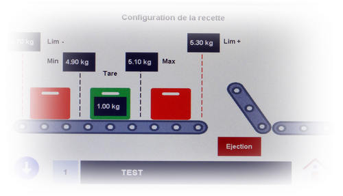 Tapis de pesage dynamique Tapis de pesage et de controle du poids - Tapis de pesage dynamique