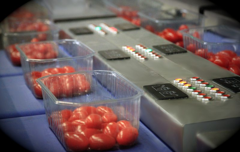 Accueil Controle du poids barquettes de fraises - Accueil