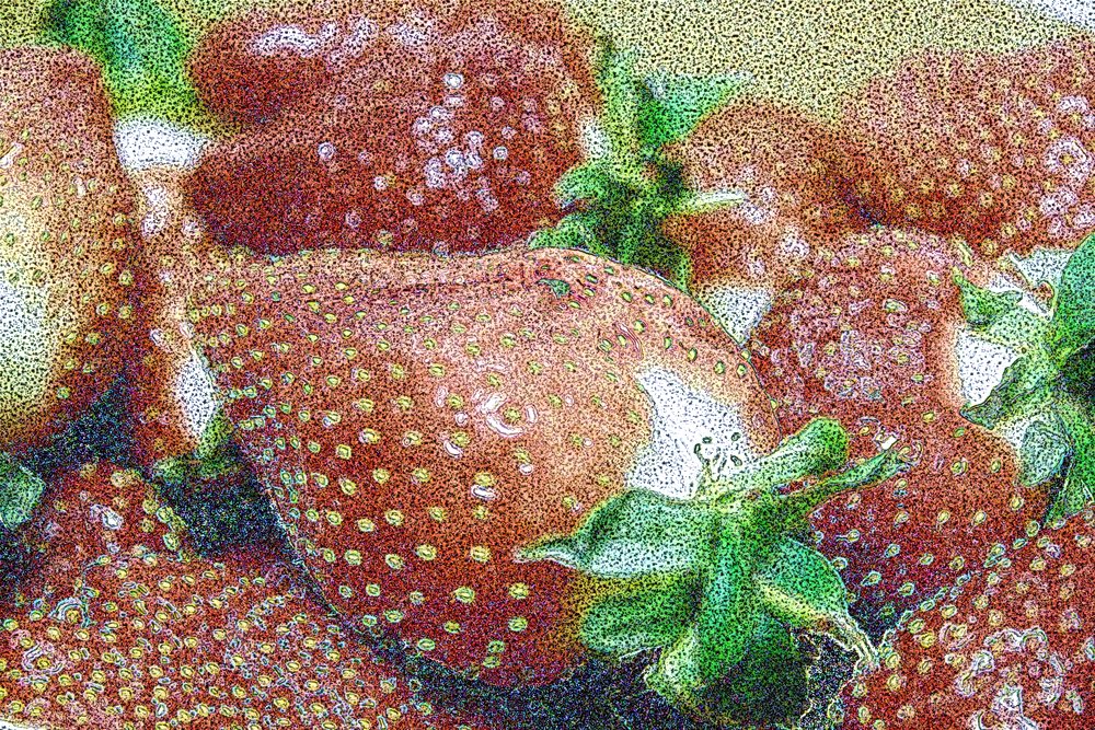 Fraises 2 - Accueil