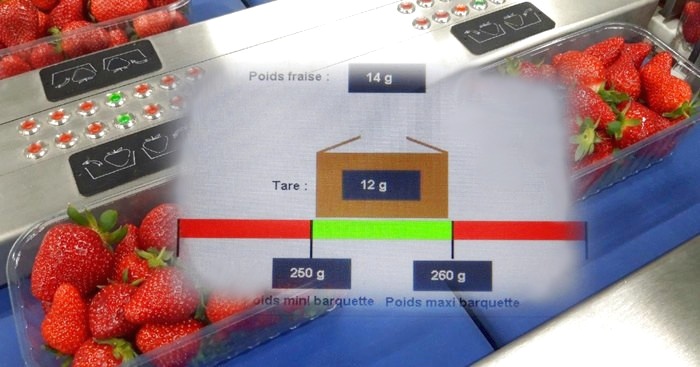 Barquettes de fruits au poids 2 - Remplissage et controle de barquettes de fruits