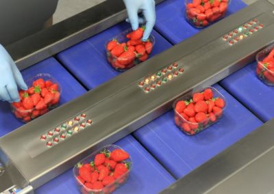 Remplissage de barquettes de fruits fragiles
