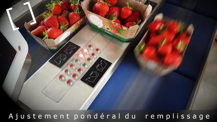 Ajustement du remplissage 2 - Ajustement du poids des barquettes de fruits