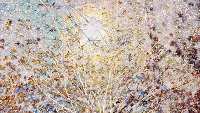 Joyeuses fêtes 2025 Fine Spect